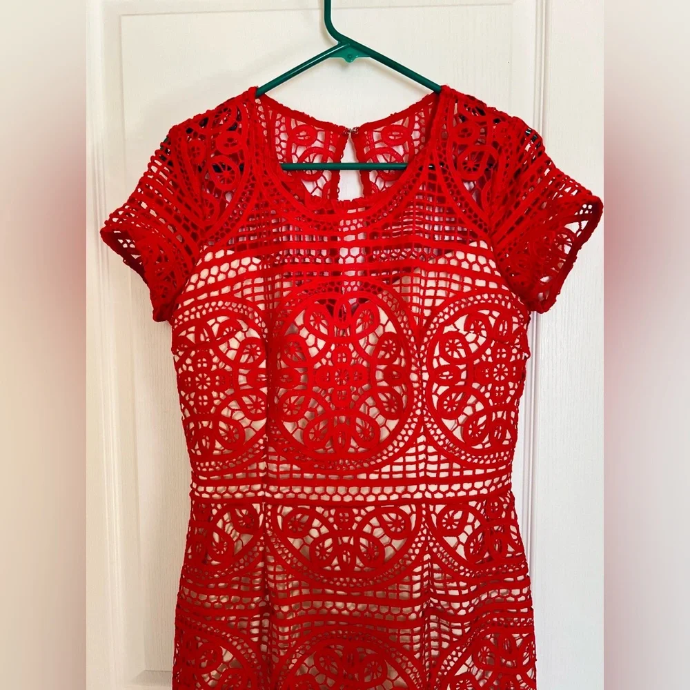Red Lace Illusion Mini Sheath Dress Size 8 Date Night Wedding guest, Cocktail - Picture 2 of 11